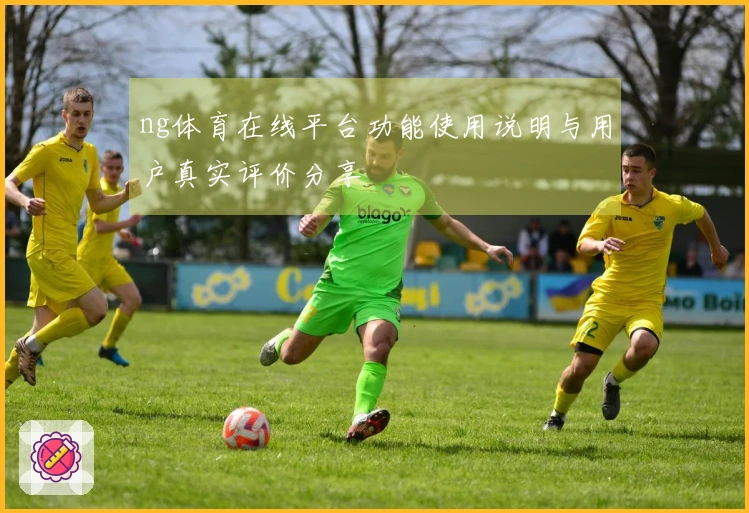 ng体育在线平台功能使用说明与用户真实评价分享