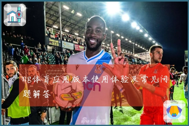 ng体育应用版本使用体验及常见问题解答