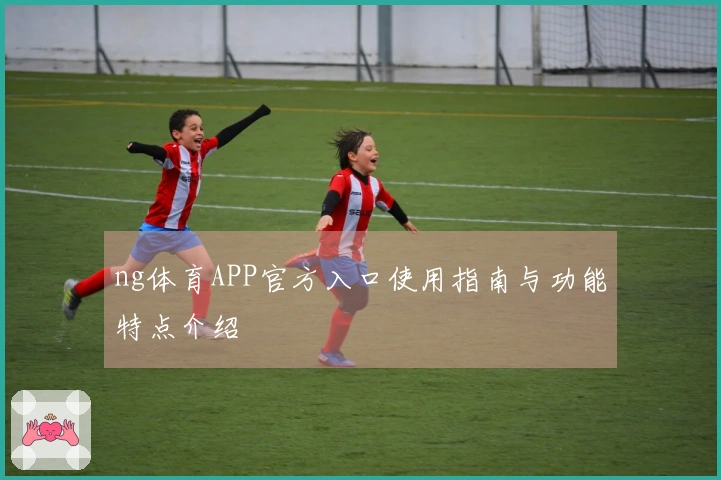 ng体育APP官方入口使用指南与功能特点介绍