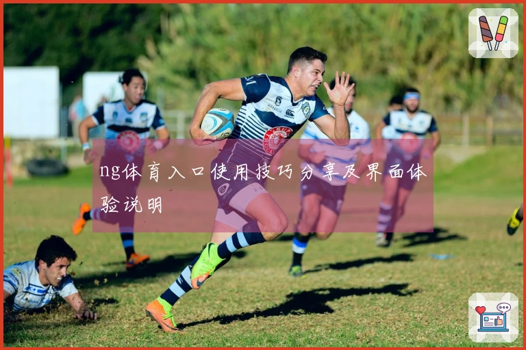 ng体育入口使用技巧分享及界面体验说明