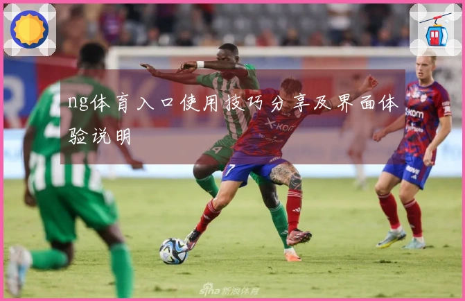ng体育入口使用技巧分享及界面体验说明