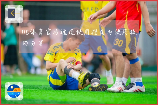 ng体育官方通道使用指南与使用技巧分享